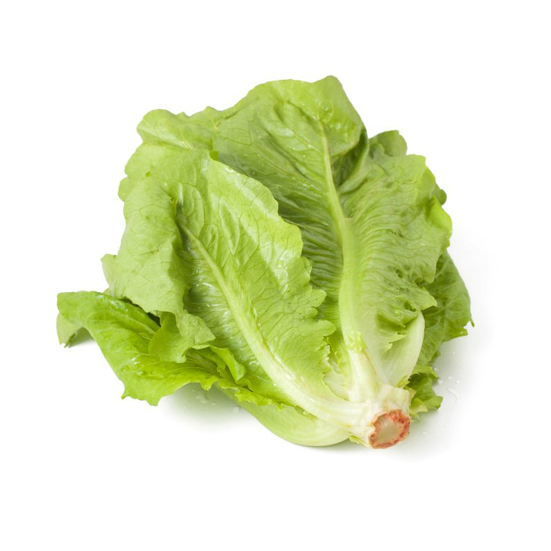 Lechuga agro x 1/2 kg aprox