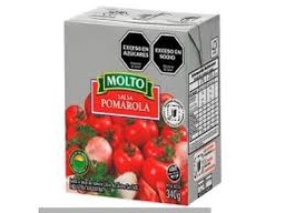 Salsa "Molto" Portuguesa Tetra-pack 340 gr